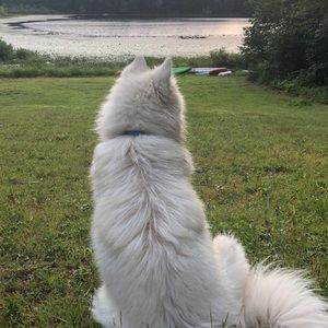 Meet your Posher, Morgan